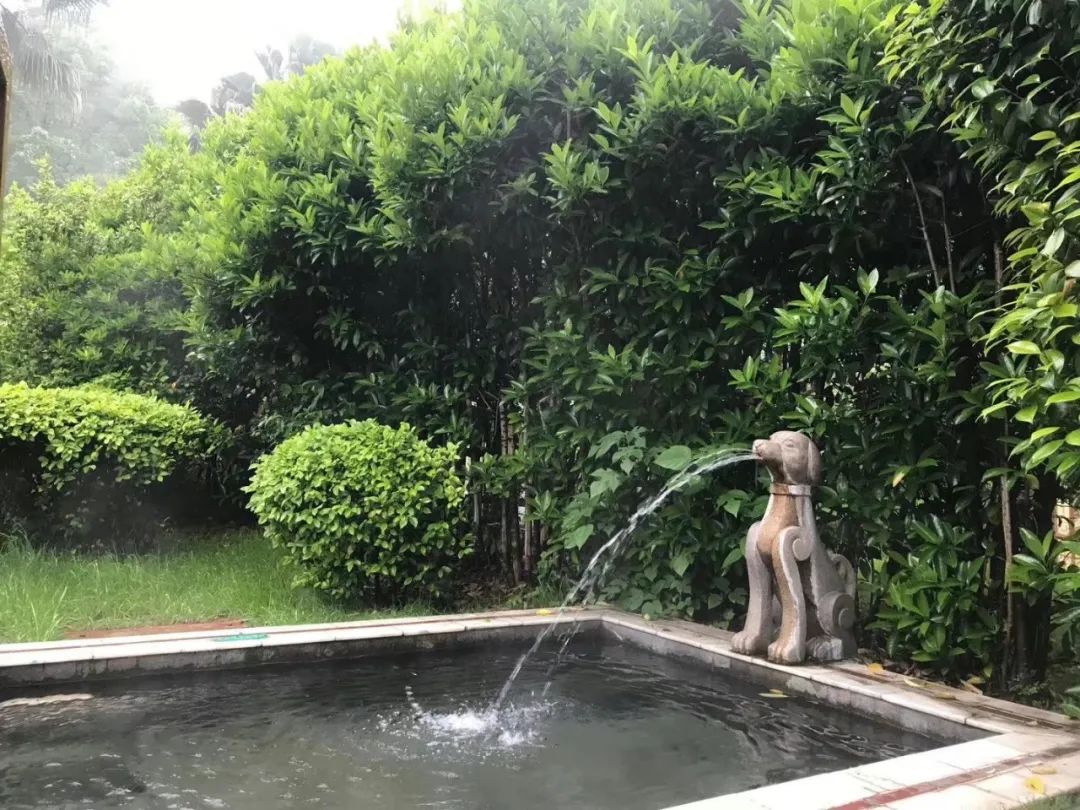 笋之鲜,泉之暖,快来西海温泉体验最纯粹的春日