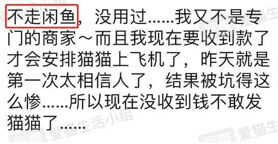 *子骗**又出新套路，可爱小猫沦为「骗钱工具人」