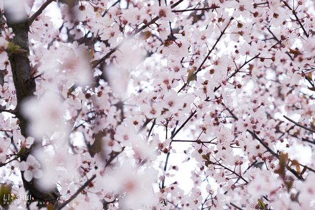 绘画我和春天有个约会,亲子绘画我和春天有个约会