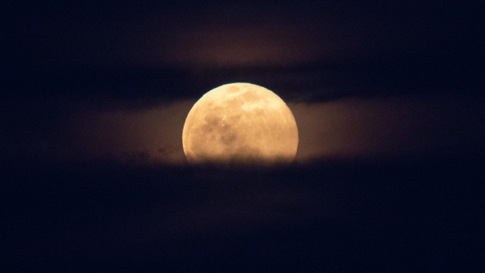 不要错过下一个满月:蠕虫月