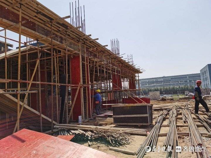 哥俩回老家山东聊城,哥俩回老家创业视频