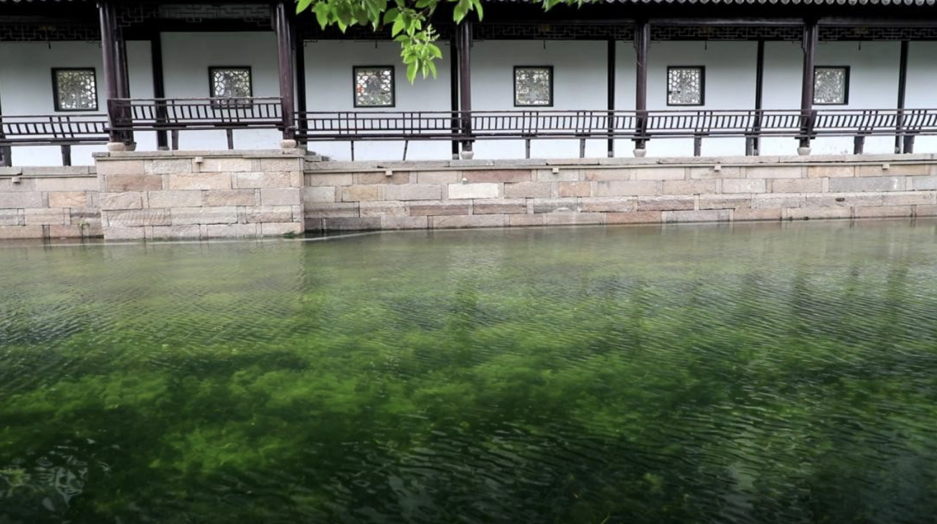 建设“碧水嘉兴”，打造“江南美窗口”，中国电科36所以数字化驱动生态治理