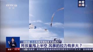 放风筝逼停列车,风筝逼停高铁