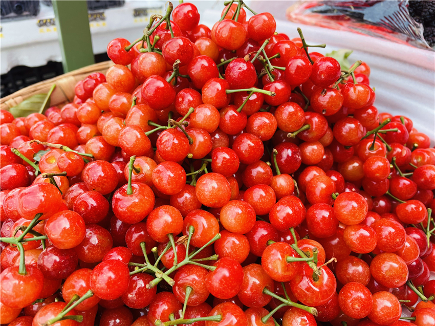 彭州樱桃价格表,丽江樱桃包邮