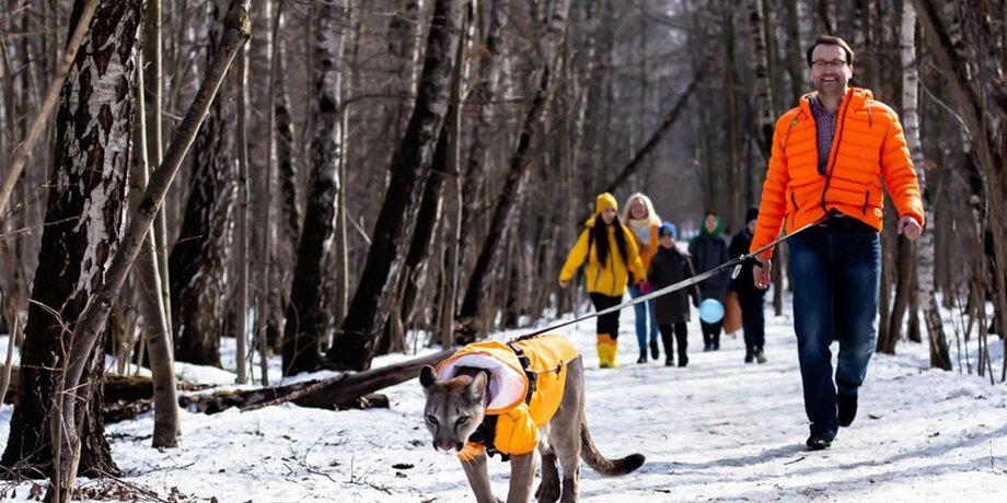 战斗民族猛宠,战斗民族俄罗斯对动物的硬核视频