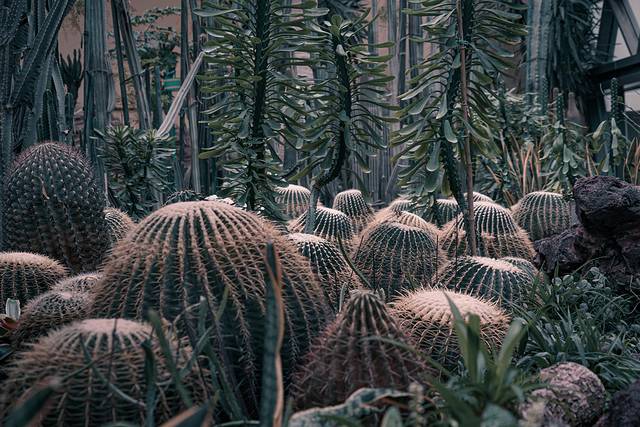 唐山带娃周末旅游攻略,唐山出发带娃两日游