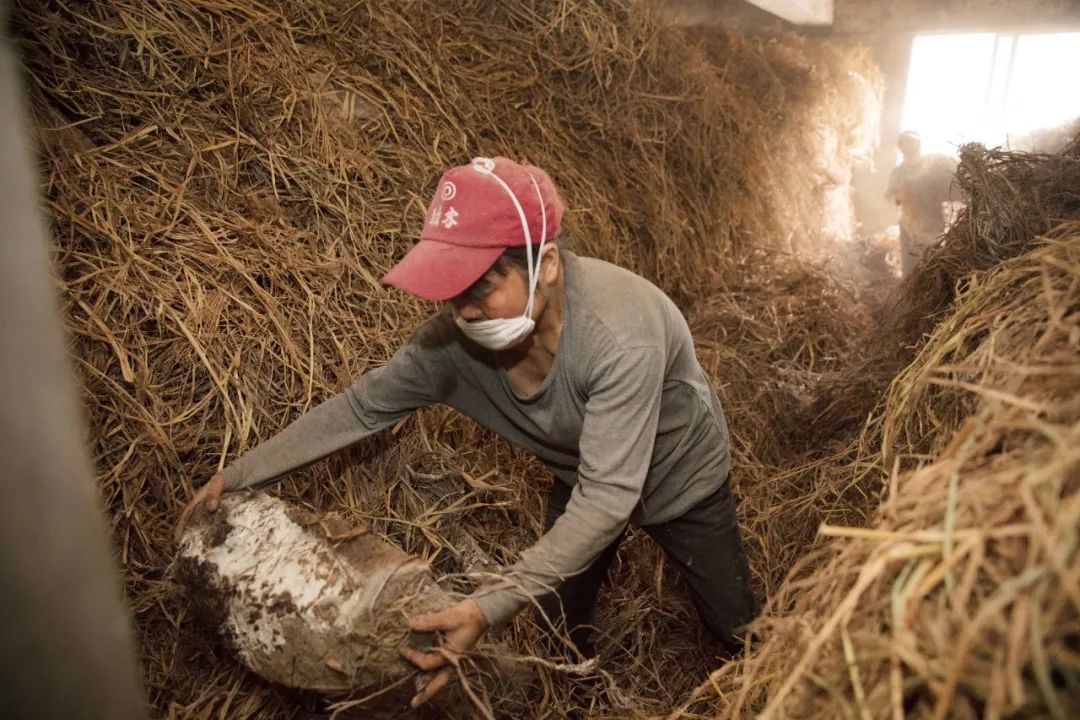 酒的个人名片图片,茅台镇酒老板名单