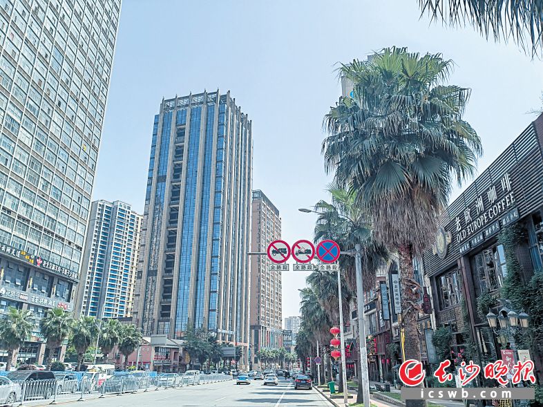 从种田开始,从种田开始崛起