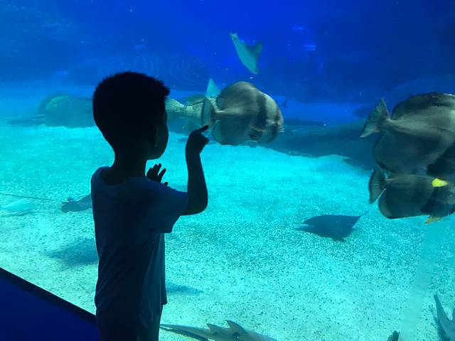 五一打卡珠海,雨神与我们同在