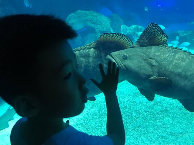 五一打卡珠海，雨神与我们同在