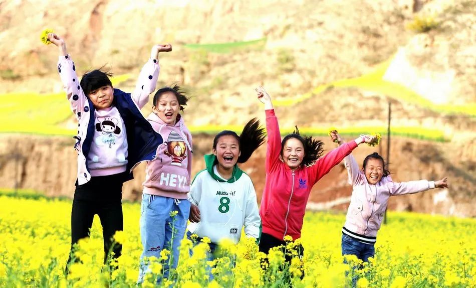 甘肃武山油菜花开了,武山的油菜花开了吗