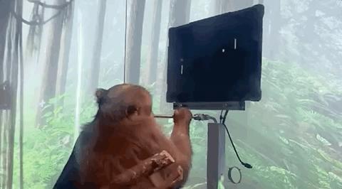 截瘫患者「意念打字」登Nature封面：速度接近常人敲键盘，准确率99.2%