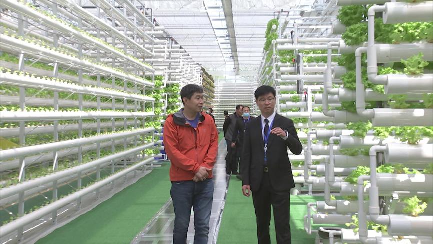 年收入1.6亿元!农展馆、菜园、度假村…这样的农业公园,你见过吗→