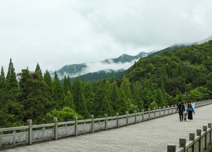 专业摄影师驾到,摄影师驾到统统闪开