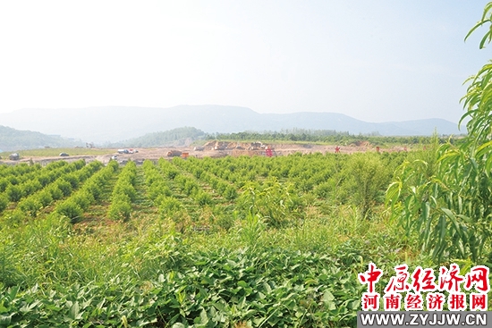 打造行业生态新样板走出绿色发展创新路——中铝矿业有限公司洛阳区域事业部践行生态文明理念工作纪实