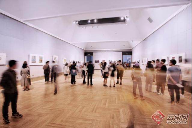 云南艺术学院画展,云南美术展