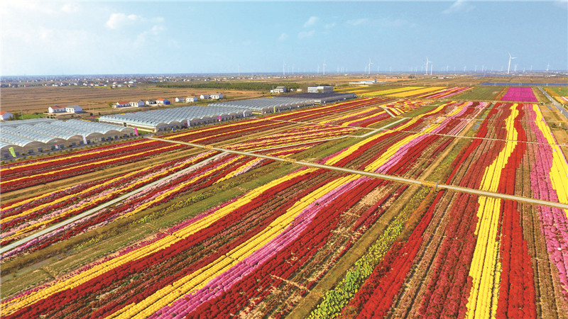 盐城马拉松出行路线,盐城马拉松对盐城市有好处吗