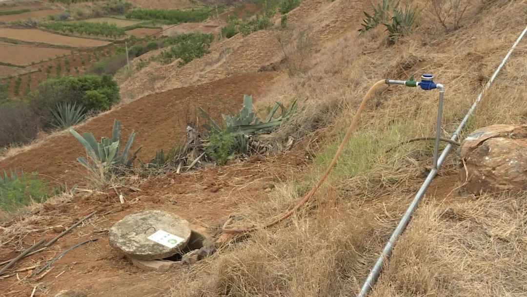 山乡巨变展新颜,山乡巨变