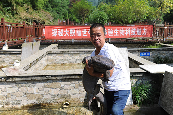 十堰乡村振兴哪些乡,湖北十堰乡村振兴怎么讲