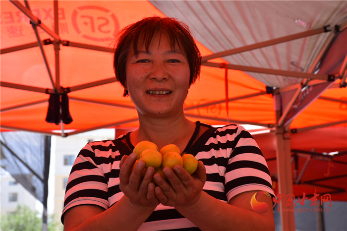 敦煌李广杏带往嘉峪关,敦煌李广杏顺丰快递