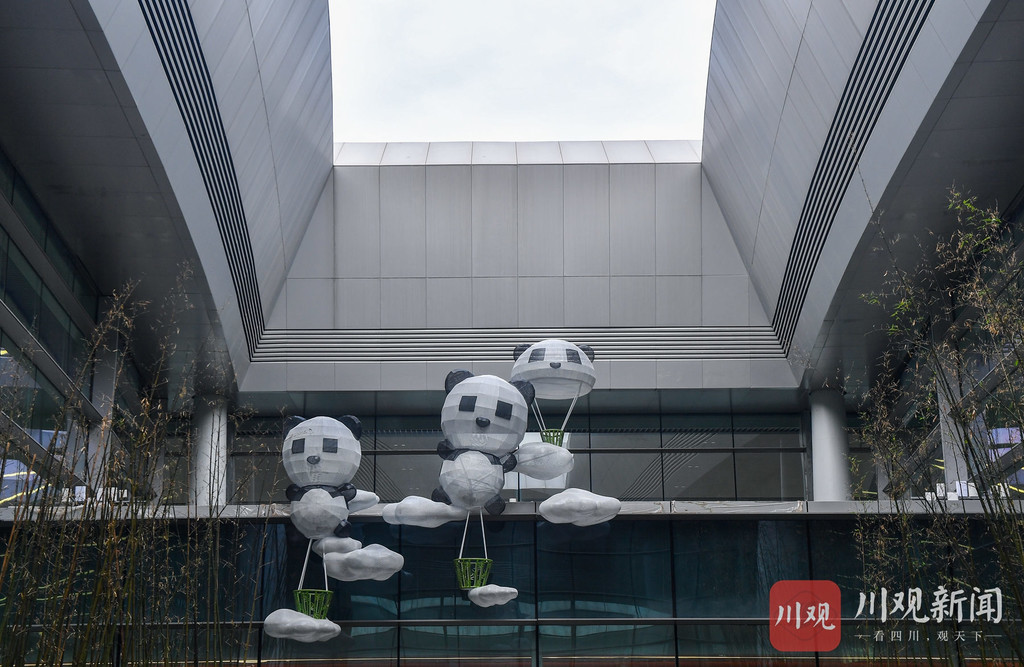 到了成都天府国际机场要注意什么,天府国际机场出行攻略