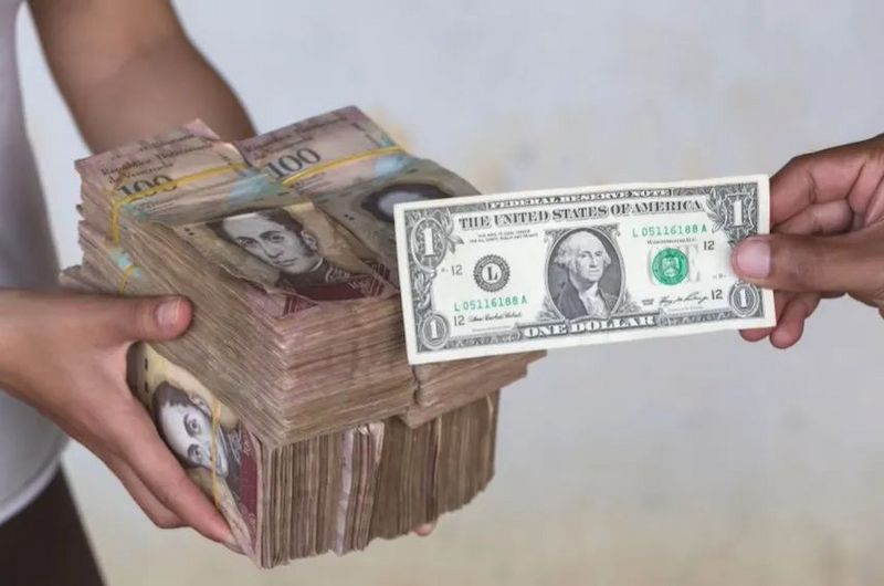 熊市真的就要来了吗,熊市来了基金怎么办