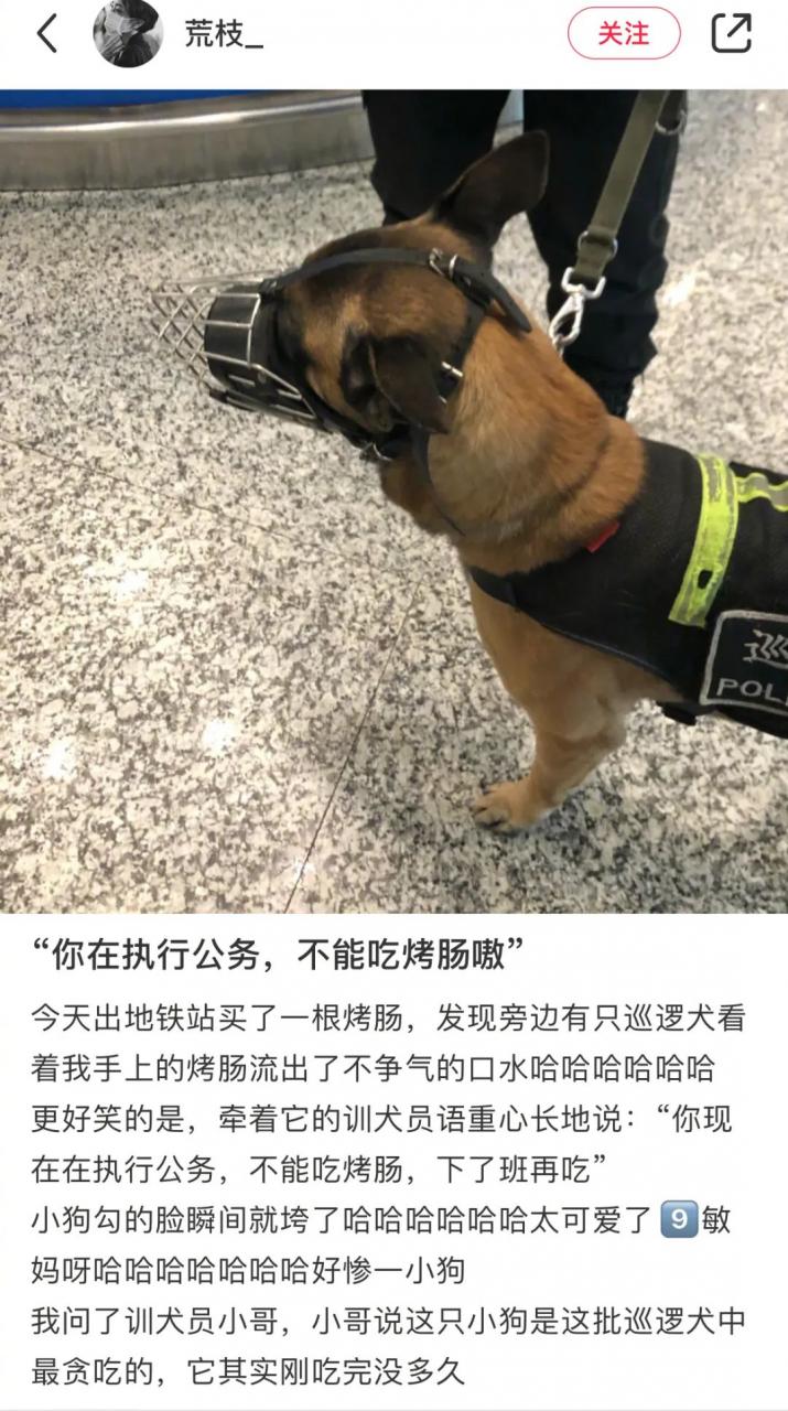 豆瓣与虎扑哪个好,豆瓣和虎扑哪个好