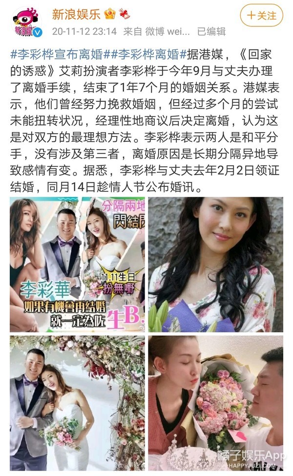 回家的诱惑艾莉最开始长啥样,回家的诱惑艾莉为什么离开