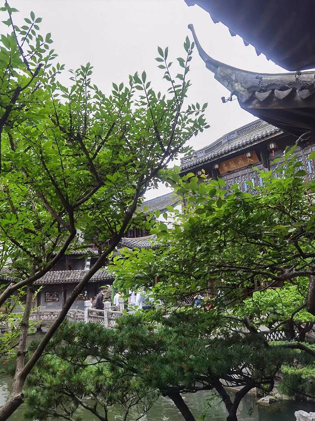 鍏充簬鎴戠殑2021鎬荤粨,璇磋鎴戠殑瀹朵埂鏉窞