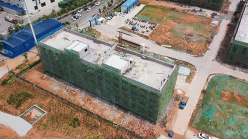 动图运动会,动图赛龙舟