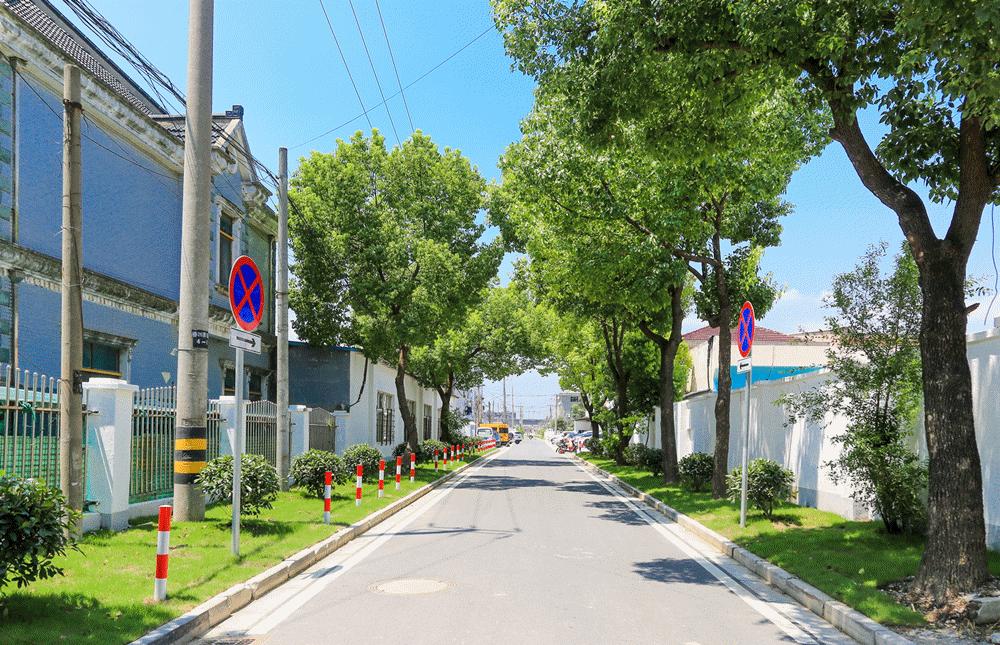 容忍松江街道重拳整治群租乱象,上海将开展群租治理专项整治行动