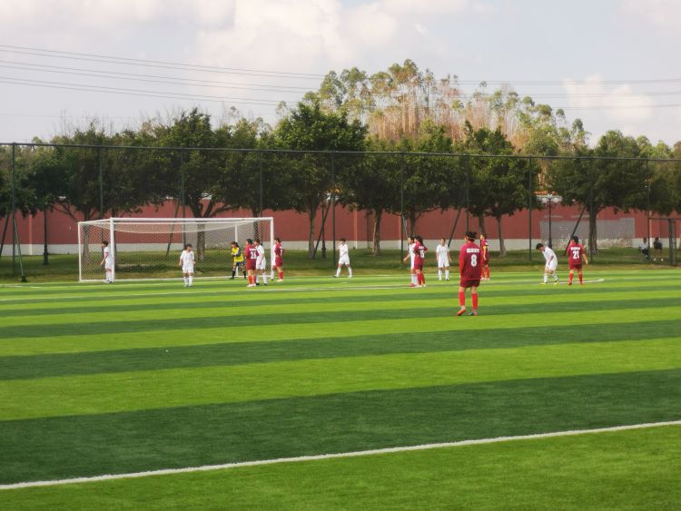 看身边变化享美好生活（19）｜蹴鞠故里焕发足球新活力