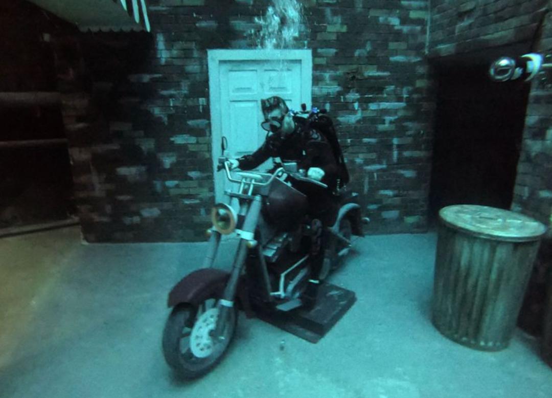 迪拜最深游泳池有鱼吗,世界最深的游泳池怎么去