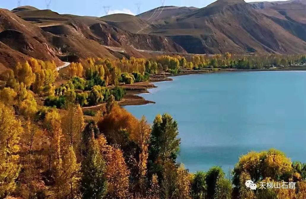 诗词名句赏析凉州诗,凉州古诗词中的诗意