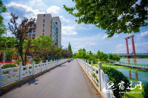 桥！宿迁的“颜值”担当