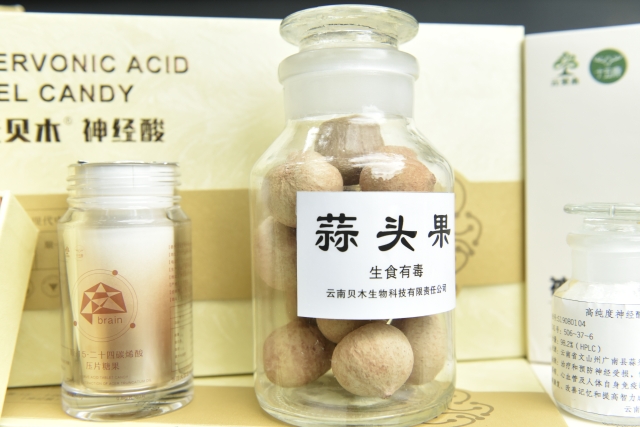 一棵历经千年的特殊树种，成了广南村民的“致富树”