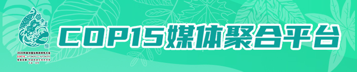 cop15春城之约七彩云南,cop15相约春城