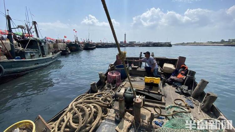 半岛聚焦丨从网捕到上码头仅1小时，最新鲜的“小船海鲜”怎么捕来的？