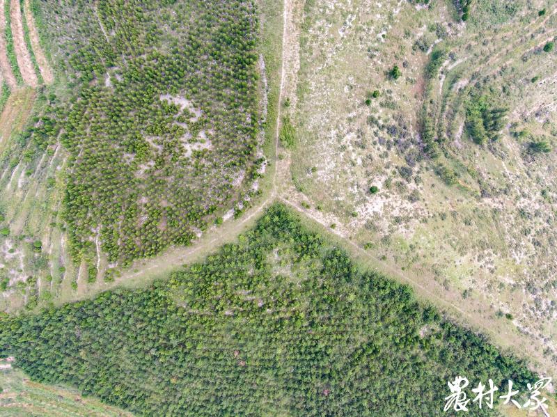 徒步长城旅行记,齐长城一日游