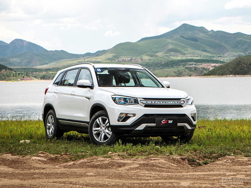 plus后缀,国产plus车型对比