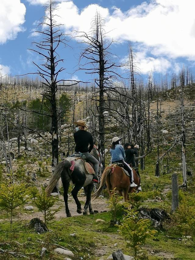 康定情歌木格措风景区自驾攻略,康定情歌木格措风景区舞蹈