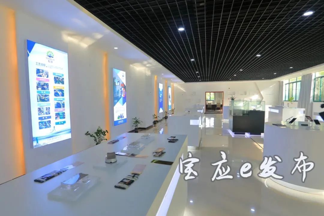 宝应工业项目2022,宝应重点产业项目