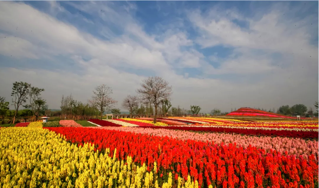 烟台开发区景点牟文化小镇,烟台开发区来牟小镇几月有花