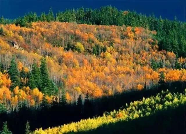 10月17日雅康高速路况实时查询,10月4日雅康高速实时路况