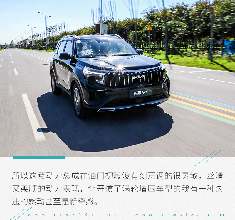 最具性价比的起亚suv,性价比高的二手起亚suv