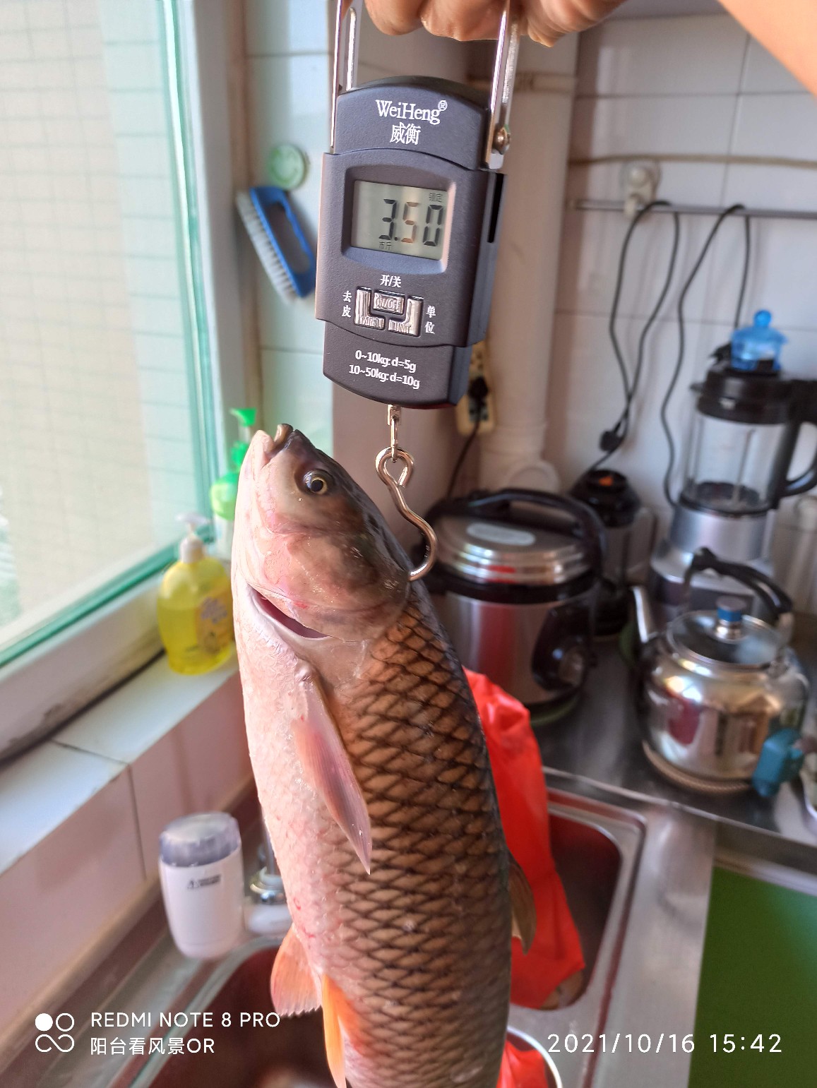 美食不但要能吃还要能做,使用电饭锅怎样做酸菜鱼