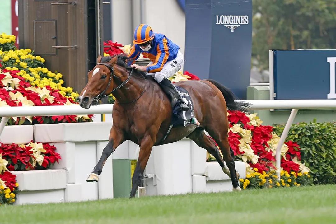 2021年香港国际赛总奖金达1亿，全球名驹挤爆头也想参赛