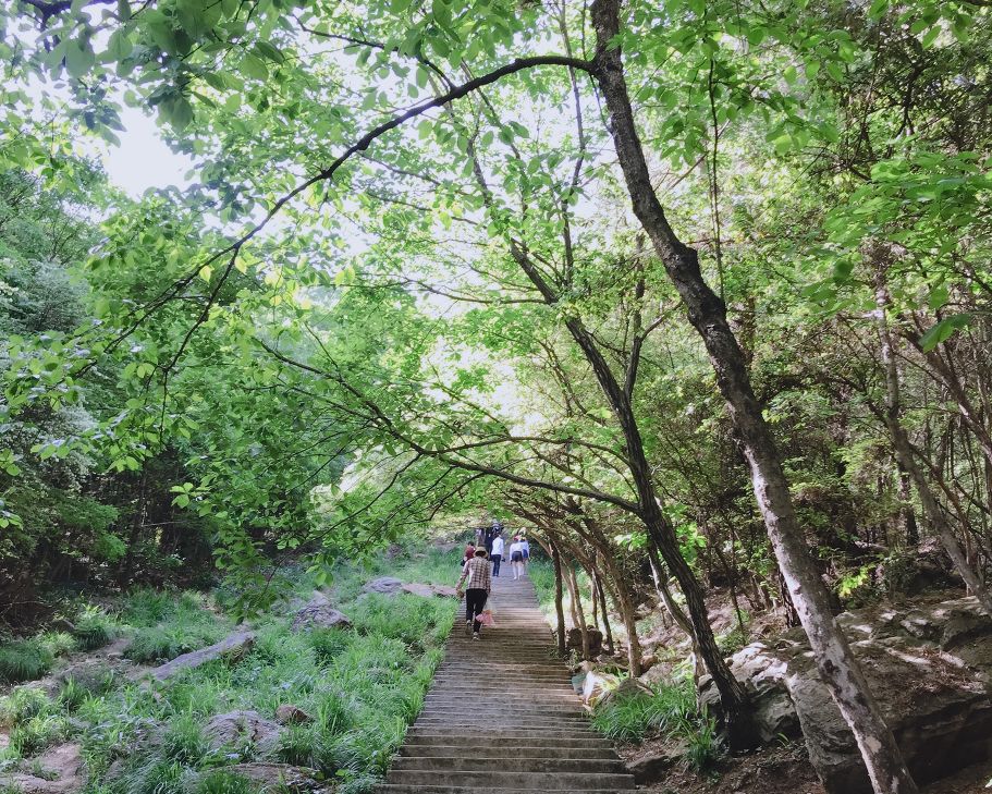 武汉冷门自驾免费景点,武汉旅游景点免费预约