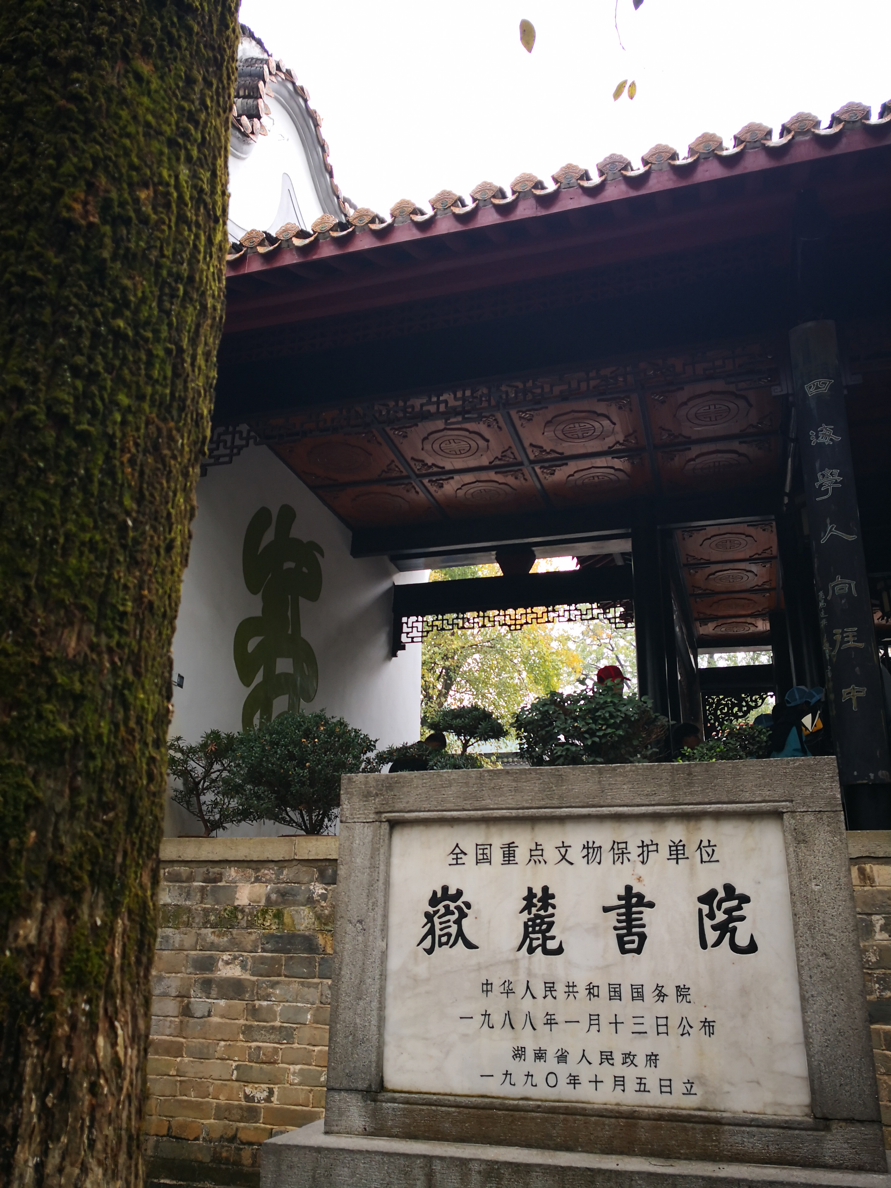 最实惠长沙一日游,长沙一日游的攻略