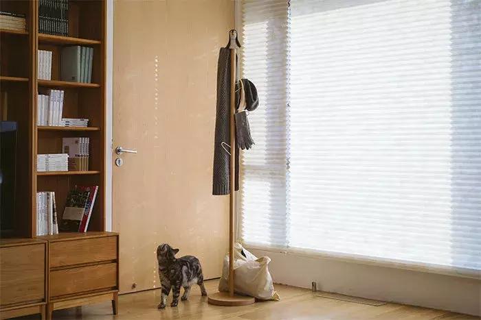 了解一下家具知识,了解家具的知识需要看什么书